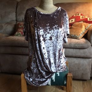 Blush Velvet top by Hummingbird Large